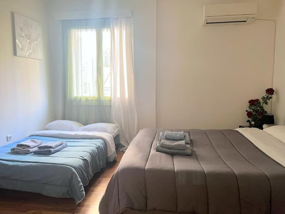 Amazing 3Bdr Apt With Unique Roof Garden In Plaka أثينا المظهر الخارجي الصورة