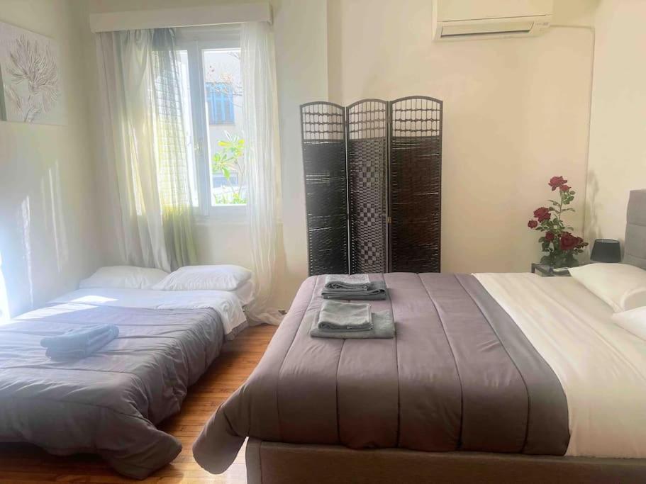 Amazing 3Bdr Apt With Unique Roof Garden In Plaka أثينا المظهر الخارجي الصورة